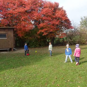 Ballspiele im Garten