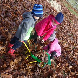 Spielen im Laub