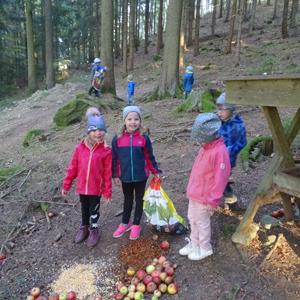 Ausflug in den Wald